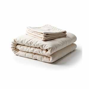 Bed Blankets & Coverlets